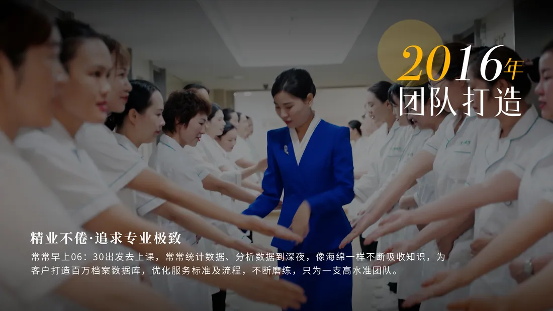 2016 年 · 团队打造 · 追求专业极致